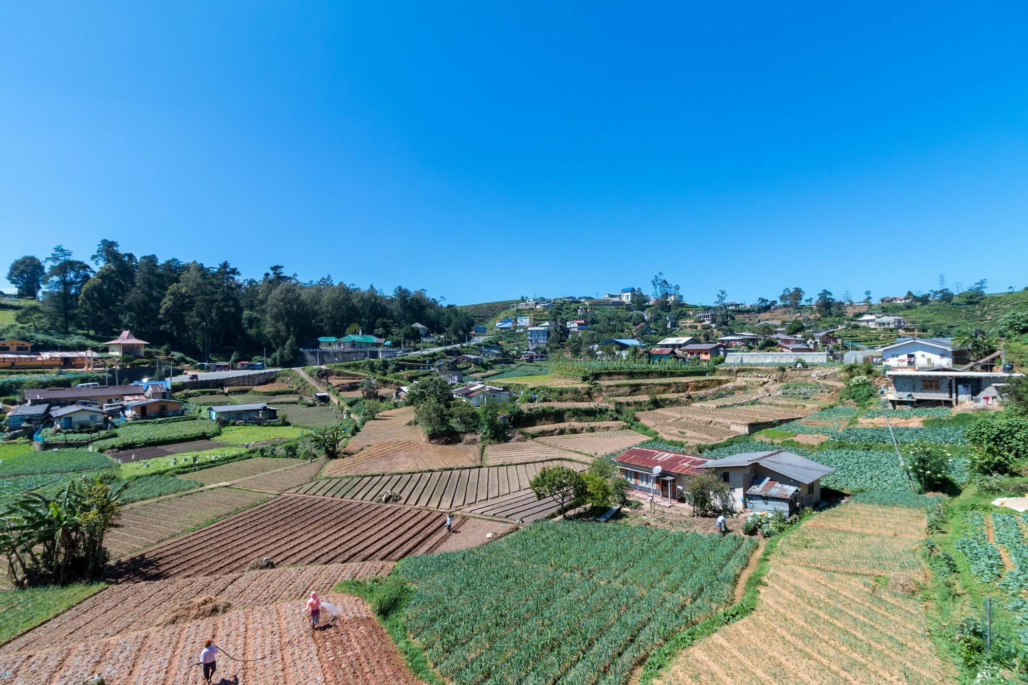 Aaradhya Villa Nuwara Eliya Buitenkant foto